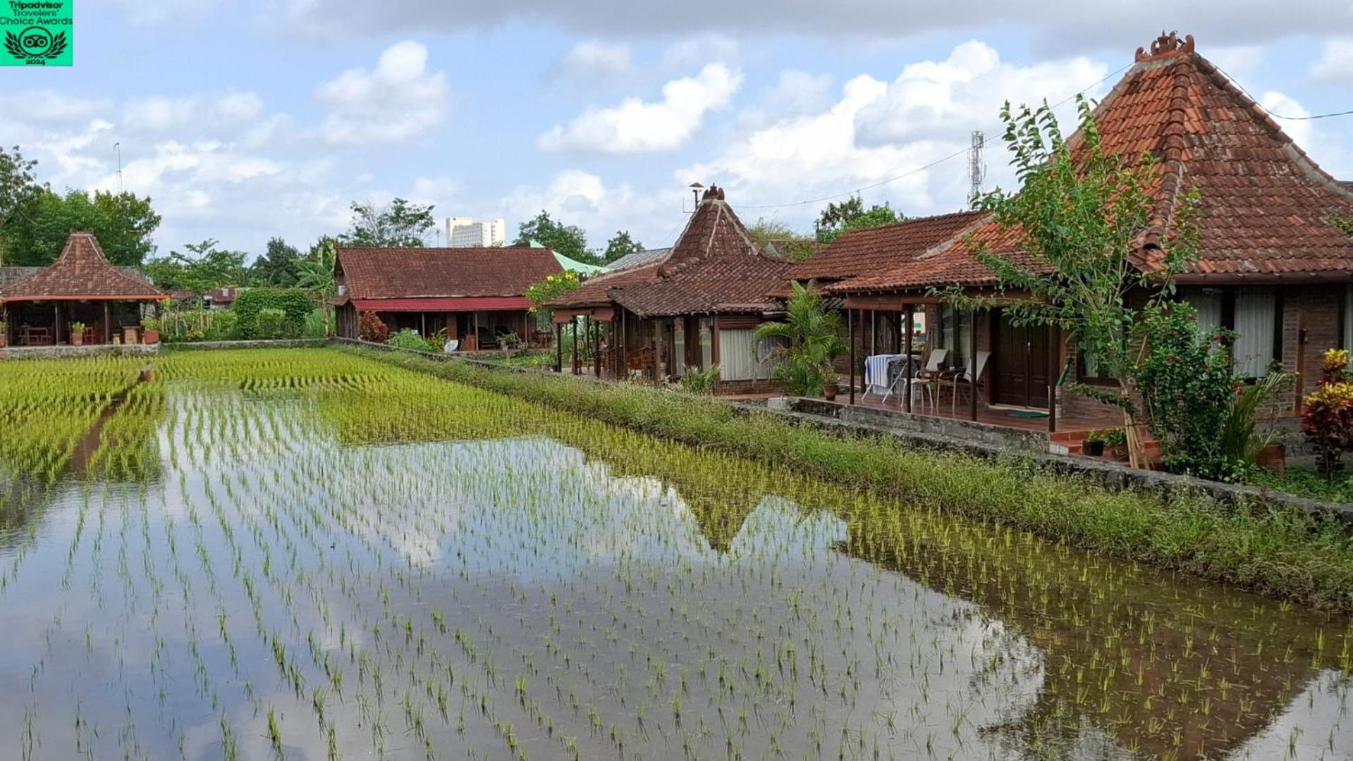 Alamanda Family Villas, Pool & Local Tours Джок'якарта Екстер'єр фото